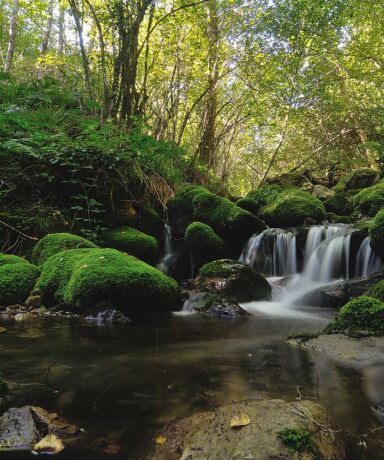 Visitar Muniellos: reserva de acceso y consejos desde Oballo