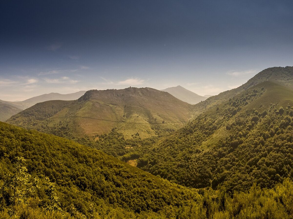 Bosque de Muniellos desde el mirador del centro de interpretación, cerca de Oballo