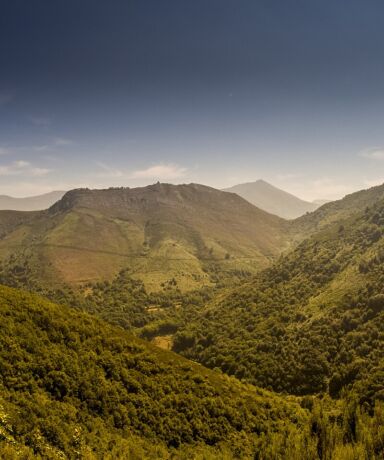 Bosque de Muniellos desde el mirador del centro de interpretación, cerca de Oballo