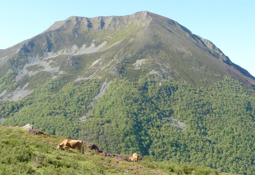 Laderas y cumbre del Cuetu d’Arbas