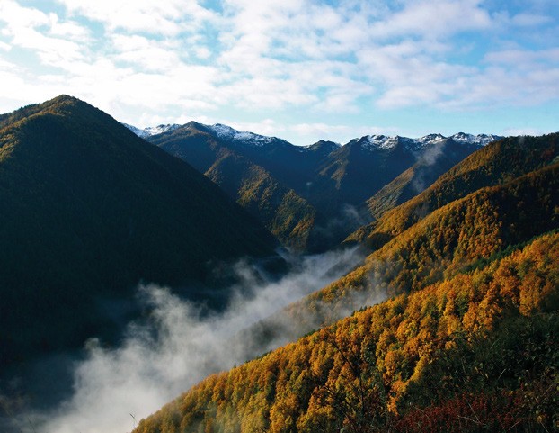 Laderas boscosas con colores de otoño y niebla entre montañas
