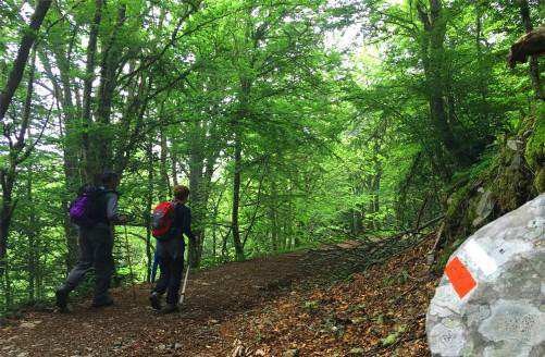 Dos caminantes recorren un sendero señalizado bajo los árboles