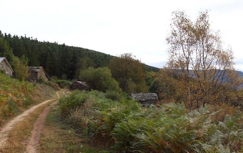Camino entre prados y arbolado en el recorrido de Tierras Pésicas
